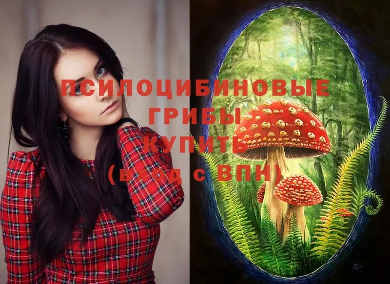 Галлюциногенные грибы MAGIC MUSHROOMS  Знаменск 